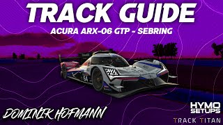 iRacing Sebring Track Guide  Season 4 Week 7 IMSA  Dominik Hofmann  HYMO SETUPS [upl. by Asamot517]