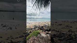 noosa noosaheads beach beautiful summervibes everyone livelifefullest shorts myleentv [upl. by Eirdua244]