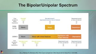 Bipolar I vs Bipolar II vs Unipolar Depression [upl. by Ytsirk]