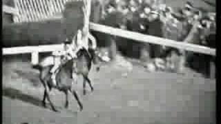 Arkle 1964 Cheltenham Gold Cup [upl. by Jaala]