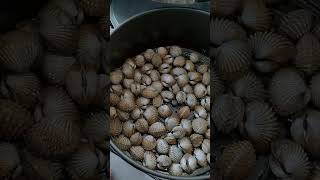 Kerang Bakar guna Air Fryer 10 minit  180 suhu [upl. by Anaerdna512]