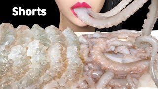 ASMR RAW OCTOPUS 산낙지 먹방 EATING SOUNDS MUKBANG shorts [upl. by Alhak]