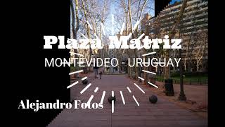 Montevideo  Plaza Matriz [upl. by Etteniuq668]