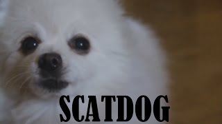 Gabe the Dog  Scatdog Scatman John  The Scatman [upl. by Itch904]