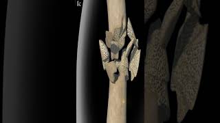 Common Types Of Bone Fracture Explained  3D animation [upl. by Shurwood965]