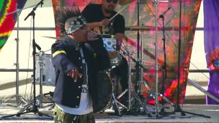 HED PE Entire LIVE Performance Seattle Hempfest 2013 [upl. by Nichy]