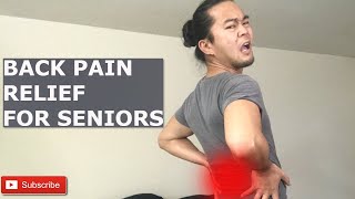 BACK PAIN RELIEF EXERCISES FOR SENIORS  OCCUPATIONAL THERAPY [upl. by Ailugram]