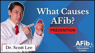 What Causes Atrial Fibrillation [upl. by Ycul]