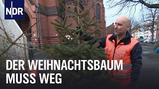 Weihnachtsbäume Viel Holz für die Müllwerker  Die Nordreportage  NDR Doku [upl. by Ahterod]