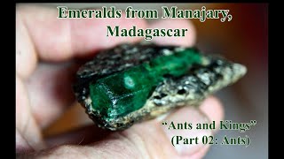 Emeralds from Mananjary Madagascar quotAnts and Kingsquot Part 02 Ants [upl. by Clapp364]