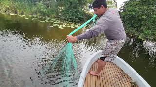 Pesca con atarraya con esta técnica pescamos 23 mojarras de un atarrayaso [upl. by Scherman501]