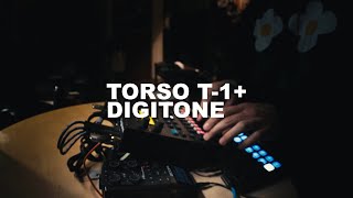 THATSTREAL  TORSO T1  DIGITONE GENERATE [upl. by Nnyleitak]