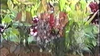 Sadik Uka TELEFONI CINGERROI official Video 1994 [upl. by Derr806]