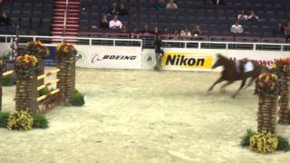 Chaos at the Washington International Horse Show [upl. by Marcie]