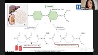 HIPOTIROIDISMO SUBCLINICO ¿TRATAR O NO TRATAR [upl. by Tuesday]