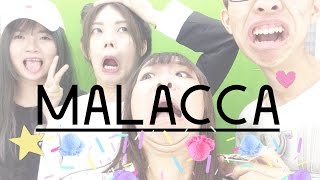 MALACCA TRAVEL VLOG 2016 [upl. by Asselim]