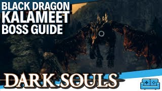 DARK SOULS  BLACK DRAGON KALAMEET BOSS GUIDE [upl. by Merrily]