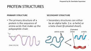 Protein Structure  three dimensional structure of proteins [upl. by Kilbride]