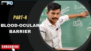 BloodOcular Barrier  structure and functional significance [upl. by Happy]