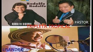 Tripleta Tropical  Lisandro Meza Rodolfo Aicardi Pastor López [upl. by Jeno]