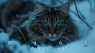 Jeremy Soule The Northerner Diaries — Njól with moderate “Arctic Wind” Extended 3 Hrs [upl. by Otir]