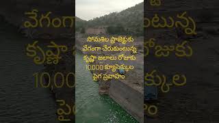 somasila dam somasiladam somasila pennariver krishnariver trending nellorebarrage shortvideo [upl. by Galloway687]