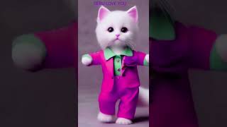 Smart cat dance 🍀🍀🐈pink jacket cat dance 🤣cat catdancer catvideos petdance funny serulovemeow [upl. by Dickinson]