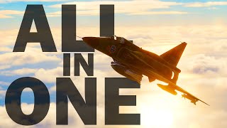 DCS quotALL IN ONEquot VIGGEN [upl. by Betteanne]