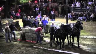 Draft Horse Pull 2013 Deerfield Fair NH Pulling Video 39 [upl. by Laaspere29]