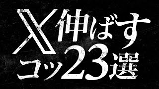 X旧Twitter運用の攻略のコツ23選 [upl. by Flinn]