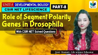 SEGMENT POLARITY GENESPART8  ZYGOTICSEGMENTATION GENES OF DROSOPHILA  CSIR NET DEV BIO [upl. by Parthen]