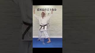 Hangetsu Kata First Kiai shotokan shorts hangetsu kata shotokankata [upl. by Lynette]