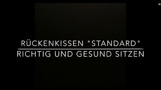 SITBACK Standard  Rückenkissen fürs Auto [upl. by Akierdna]