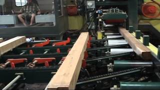 McDonough Horizontal resaw with MAXX infeed [upl. by Ambie]