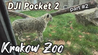 Krakow Poland Zoo Day part2  DJI pocket 2 A Wild Adventure At Krakow Zoo Your Ultimate Day Out [upl. by Rawdon]