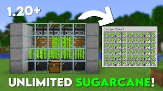 Minecraft EASIEST Sugarcane Farm Tutorial  AFK  121 [upl. by Raddatz391]