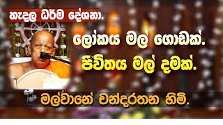 MALWANE CHANDARATHANA THERO [upl. by Gnuhp]