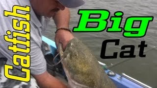 Big Flathead catfish caught on the Ohio river [upl. by Eneres]