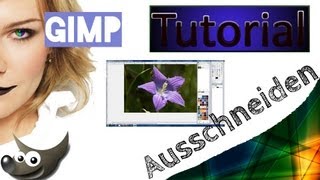 Gimp Tutorial 1 Bilder ausschneiden und einfügen II magnetische Schere Deutsch [upl. by Yenrab713]