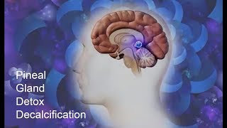 송과선제3의 눈을 탈석회화 하는 방법How to Decalcify Your Pineal Gland 등 한글자막 [upl. by Schulein]