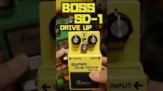 BOSS SD1 vs TS9 TUBE SCREAMER🎸オーバードライブ guitarpedals [upl. by Ydnam]