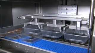 Tramper D360  standalone denester for placing trays on a conveyor belt [upl. by Eiram]