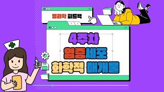 화학적매개물과 염증세포 요약 및 문제풀이 [upl. by Rollie451]