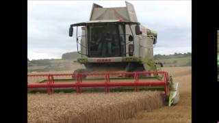 Claas Lexion 670 Montana [upl. by Tebasile]