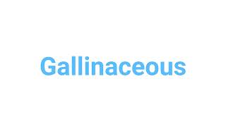 How to Pronounce gallinaceous gallinaceous english words [upl. by Adrianna]