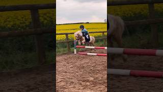 Riding my mini Shetland stallion equestrian horseriding horse stallion shetlandpony rider [upl. by Walrath]