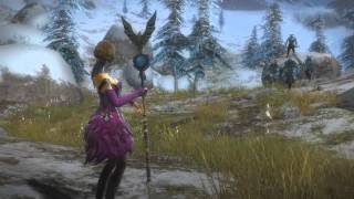 Guild Wars 2  Mesmer Skills [upl. by Aufmann795]