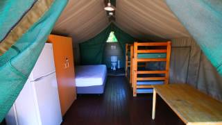 SAFARI TENTS AT SHOAL BAY HOLIDAY PARK [upl. by Unam598]