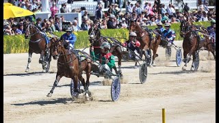 2024 Renwick Farms Dominion Trot 3200M Addington Raceway New Zealand  Just Believe 2028 [upl. by Nahguav266]