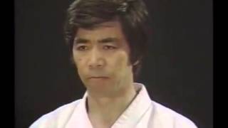 平安二段 heian nidan hirokazu kanazawa skif kata 金澤弘和 [upl. by Seale]